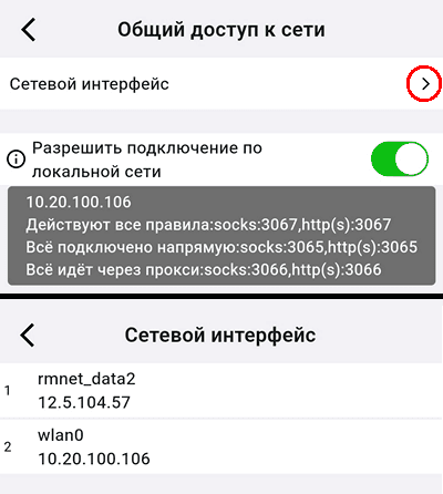 Настройка общего доступа к сети через Karing