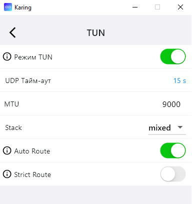 Переключатель режима TUN в Karing