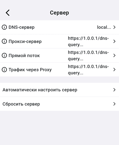 Выбранные серверы во всех строках настройки DNS в Karing