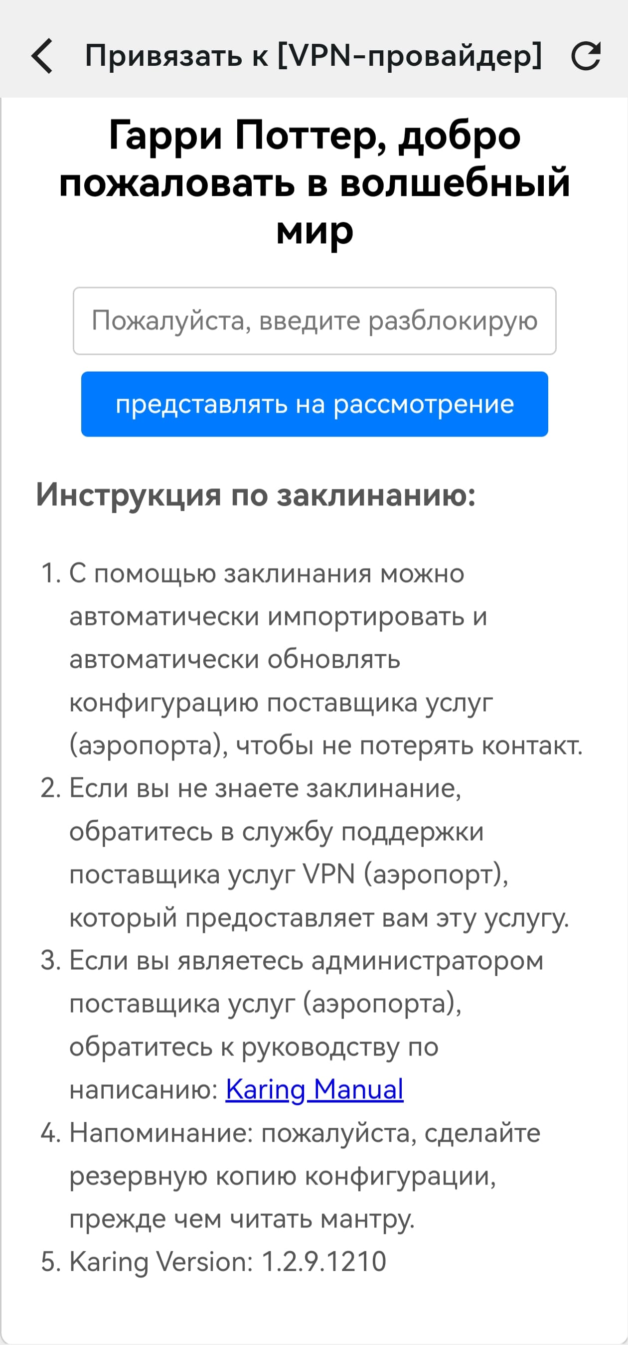 Привязка к VPN-провайдеру в Karing