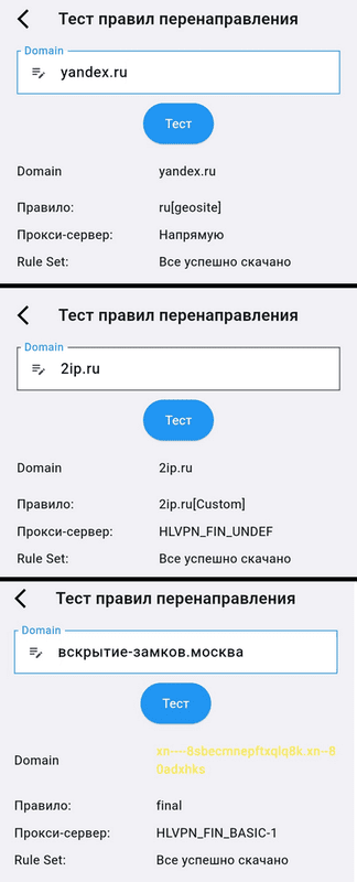 Результат теста правил перенаправления в Karing