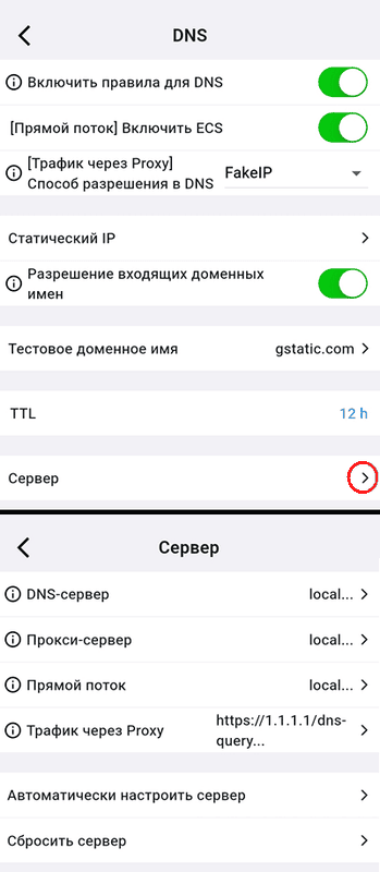Расширенные настройки DNS в Karing