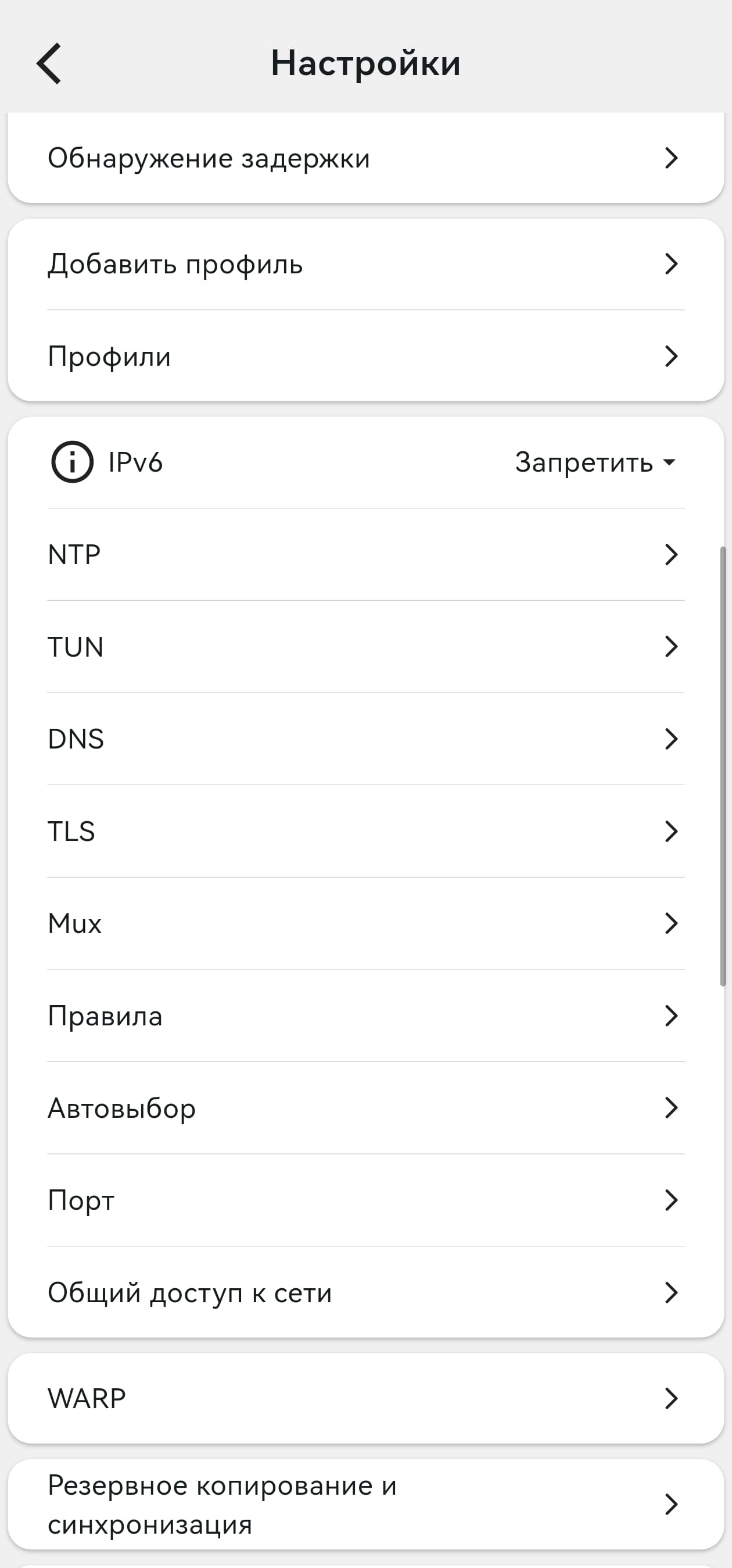 Второй экран настроек Karing