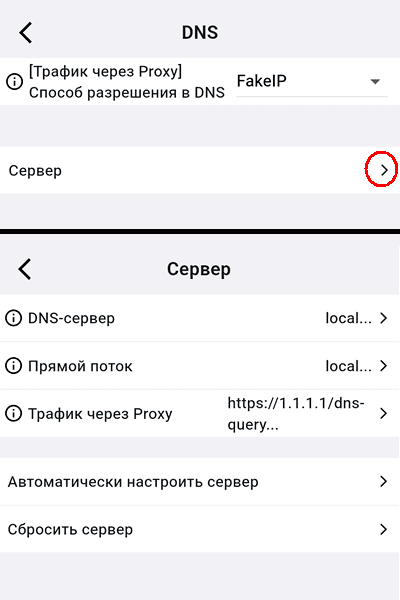 Настройки DNS в режиме «Новичок» в Karing